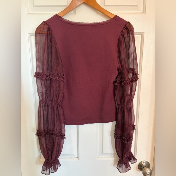 Anthropologie Long-Sleeve Victorian Ruffled Top small - Picture 5 of 8